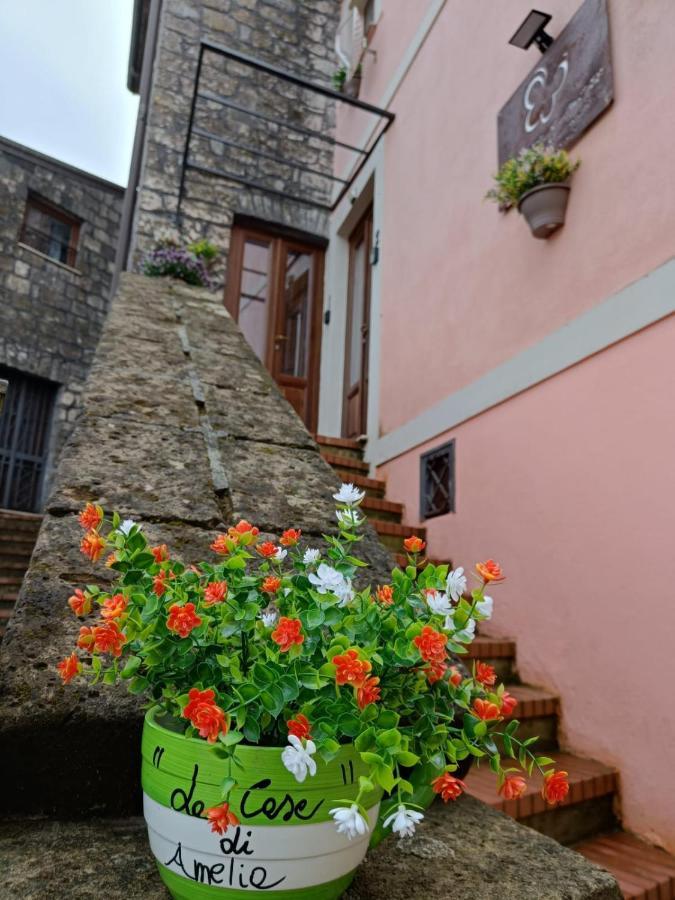 La Casa Di Amelia Hotel Ruviano Exterior foto